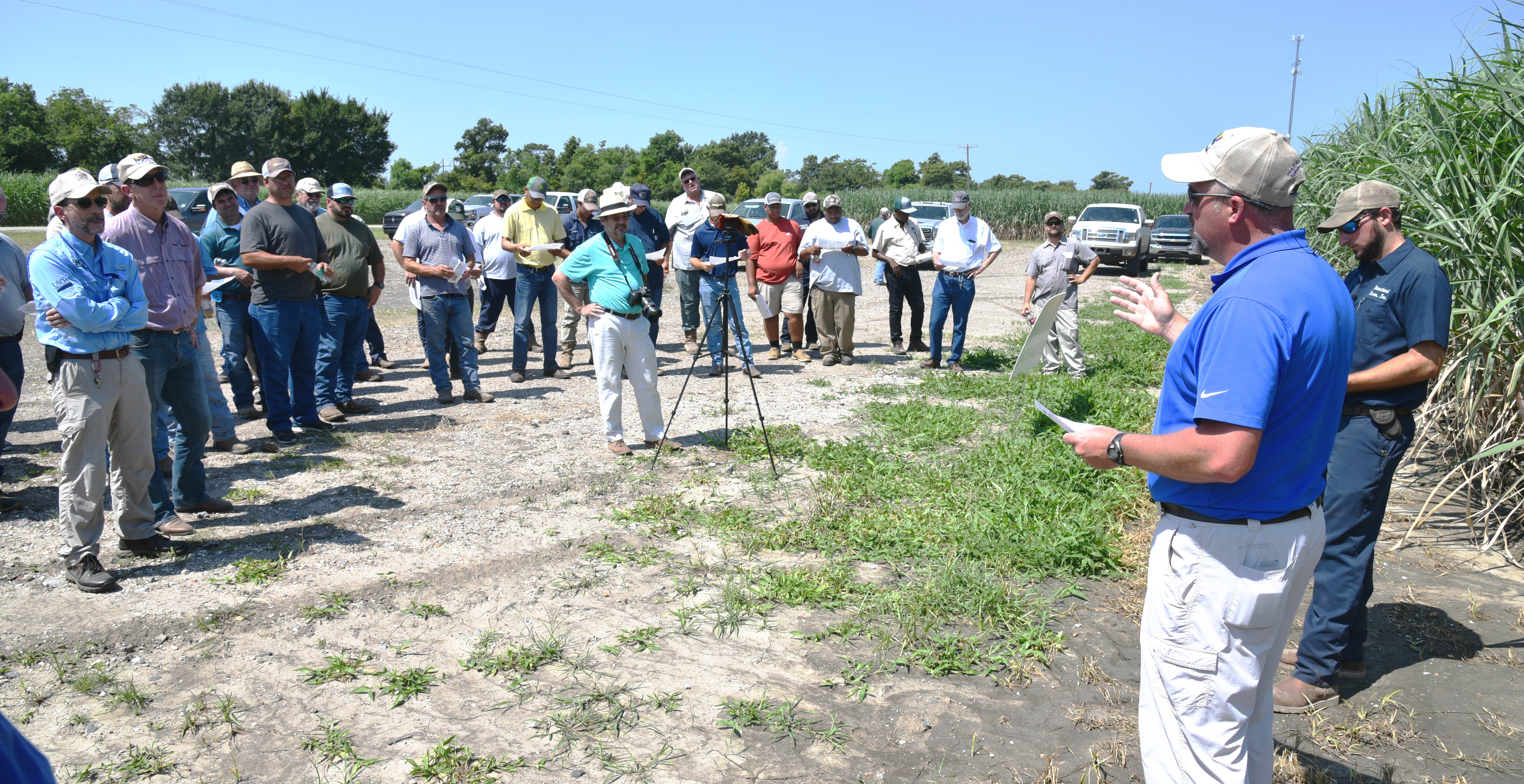 Cover crops featured at sugarcane field day 